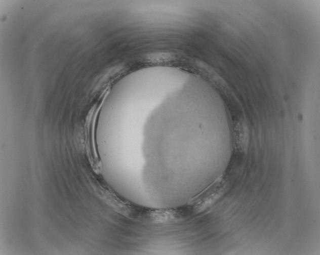 X0000078230762200611251214