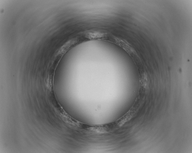 X0000078230763200611251214