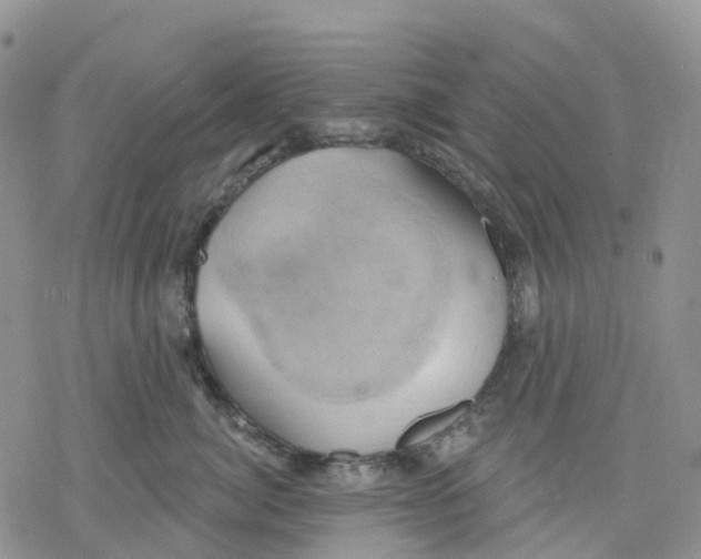 X0000078230764200611251214