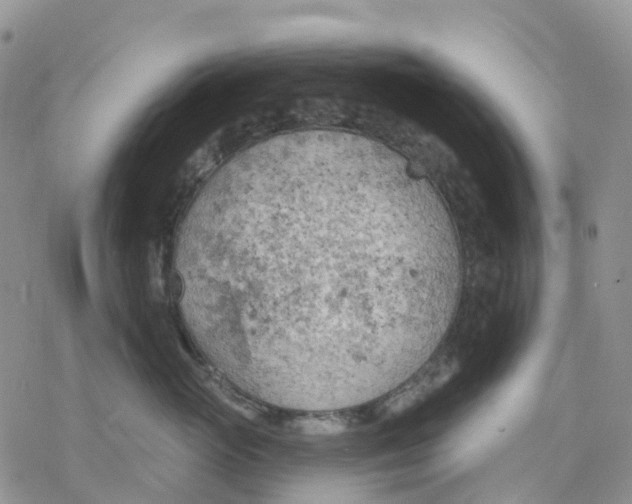 X0000078230765200611251214