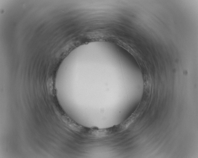 X0000078230767200611251214