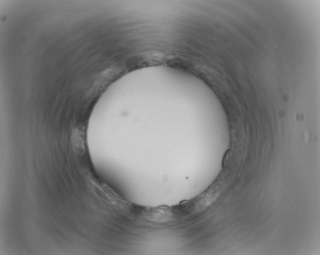 X0000078230768200611251214