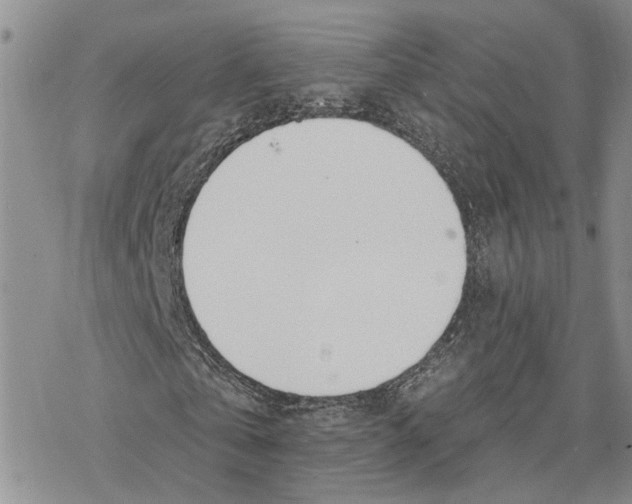 X0000078230769200611251213