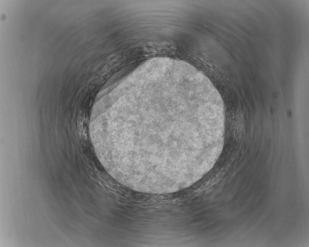 X0000078230770200611251213