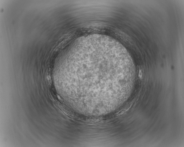 X0000078230771200611251213