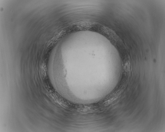 X0000078230772200611251213