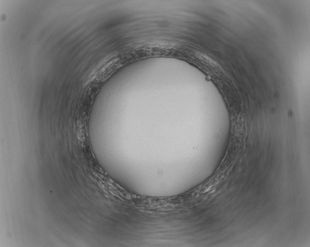 X0000078230774200611251213