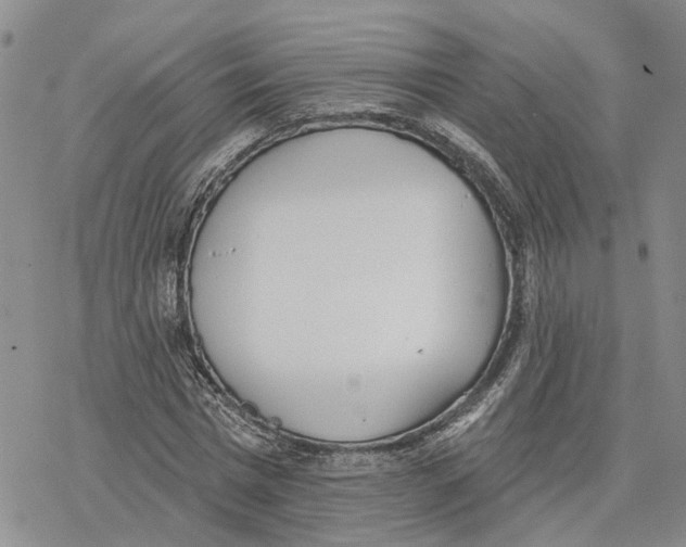 X0000078230777200611251213