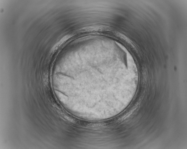 X0000078230778200611251213