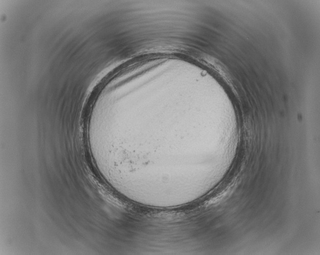 X0000078230779200611251213