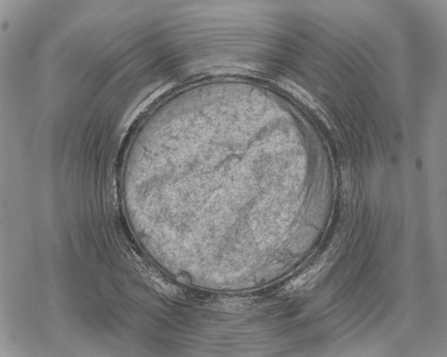 X0000078230782200611251213