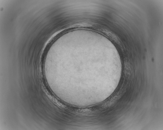 X0000078230784200611251213