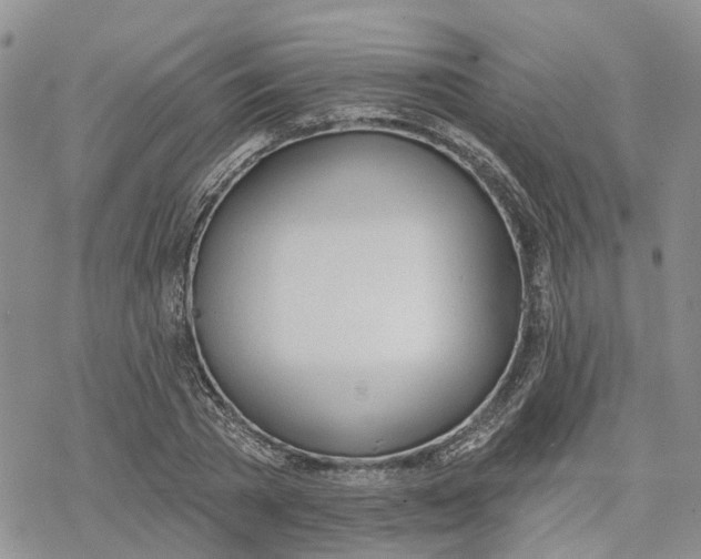 X0000078230785200611251213