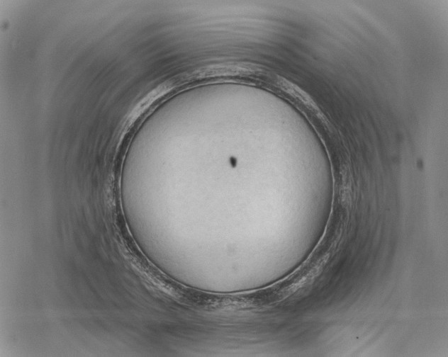 X0000078230786200611251213