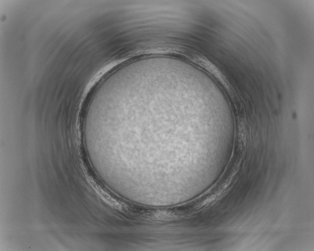 X0000078230787200611251213