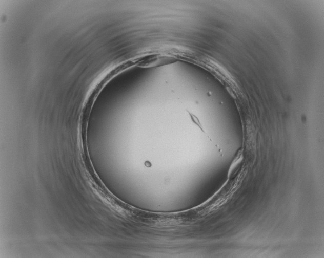 X0000078230788200611251213