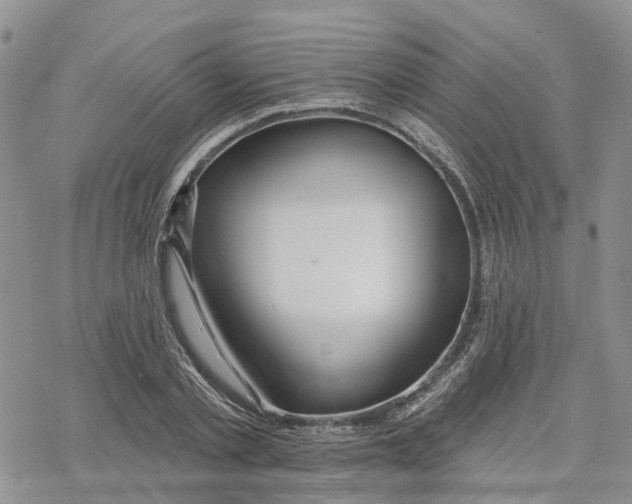 X0000078230789200611251213