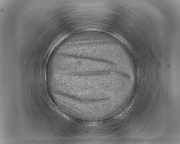 X0000078230790200611251213