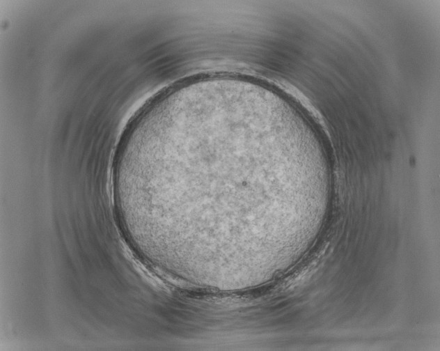 X0000078230791200611251213