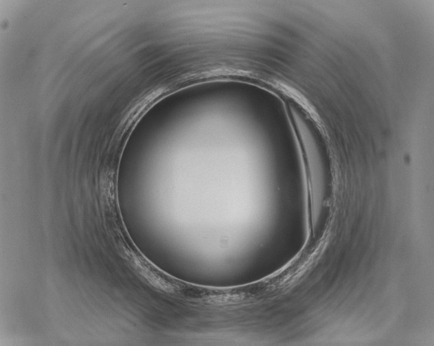 X0000078230793200611251213