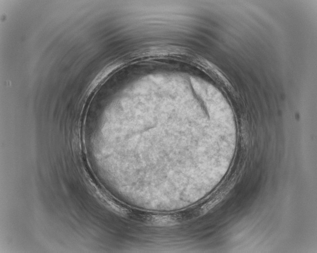 X0000078230794200611251213