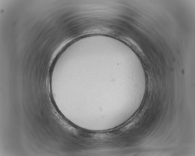 X0000078230796200611251213