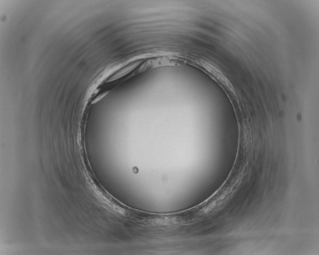 X0000078230797200611251213