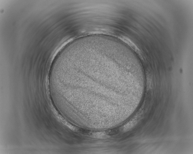 X0000078230798200611251213