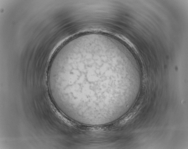 X0000078230799200611251213