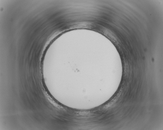 X0000078230800200611251213