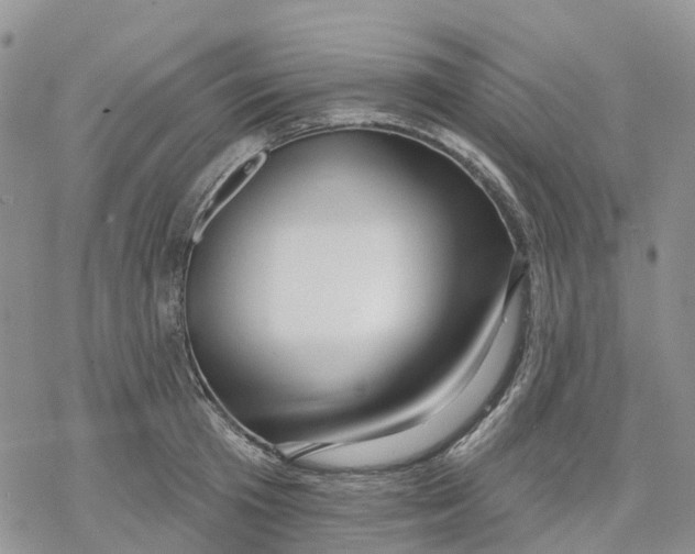 X0000078230801200611251213