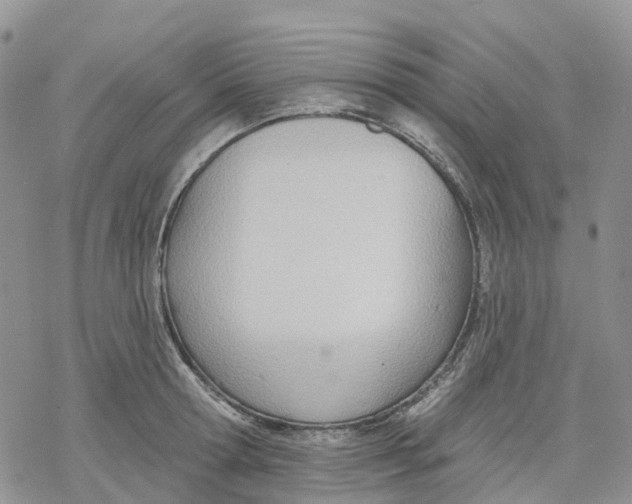 X0000078230802200611251213