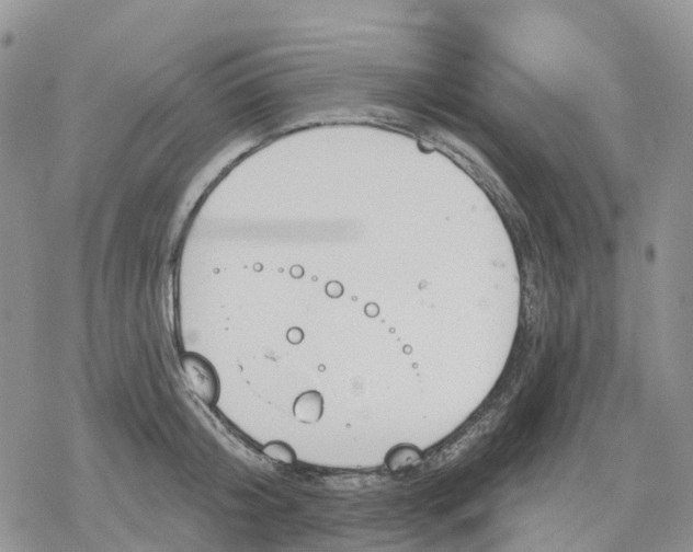 X0000078230804200611251212