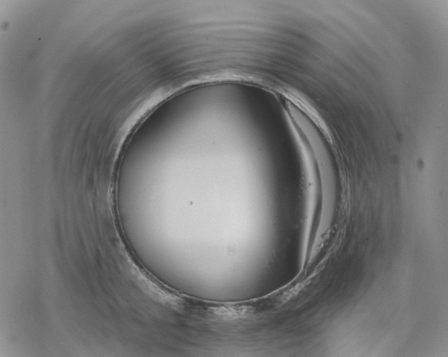 X0000078230805200611251212