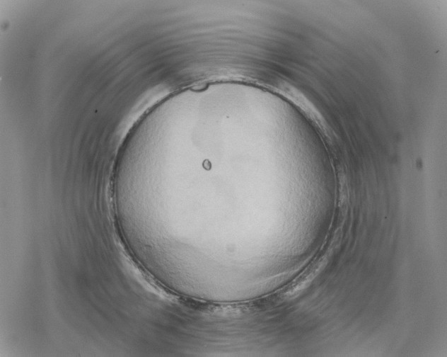 X0000078230806200611251212