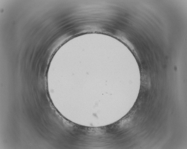 X0000078230807200611251212