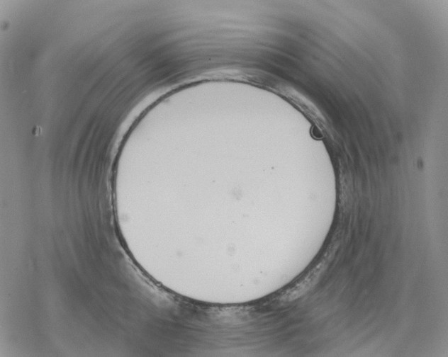 X0000078230808200611251212