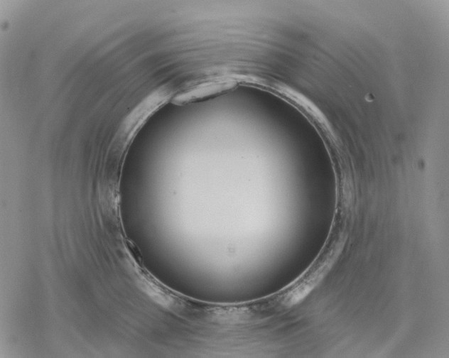 X0000078230809200611251212