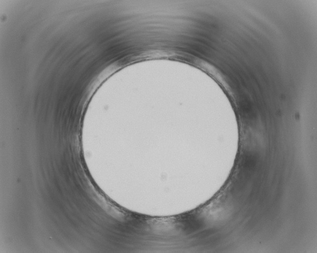 X0000078230810200611251212