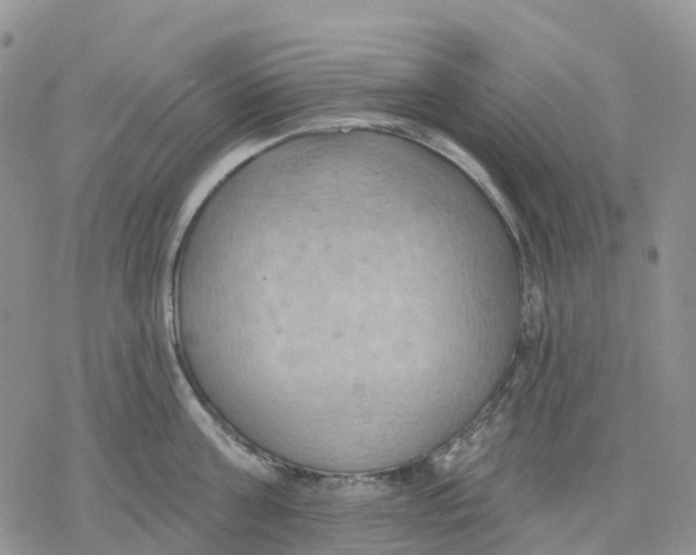 X0000078230811200611251212