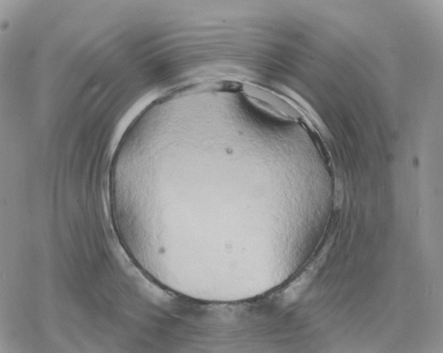 X0000078230812200611251212