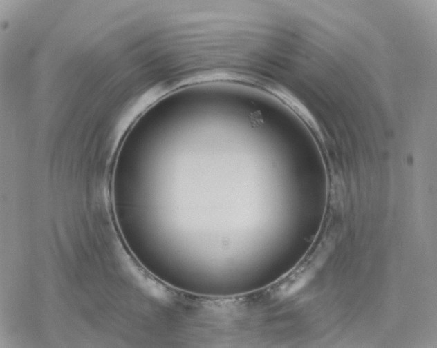 X0000078230813200611251212