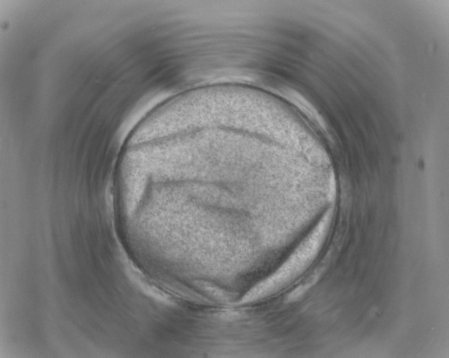 X0000078230814200611251212