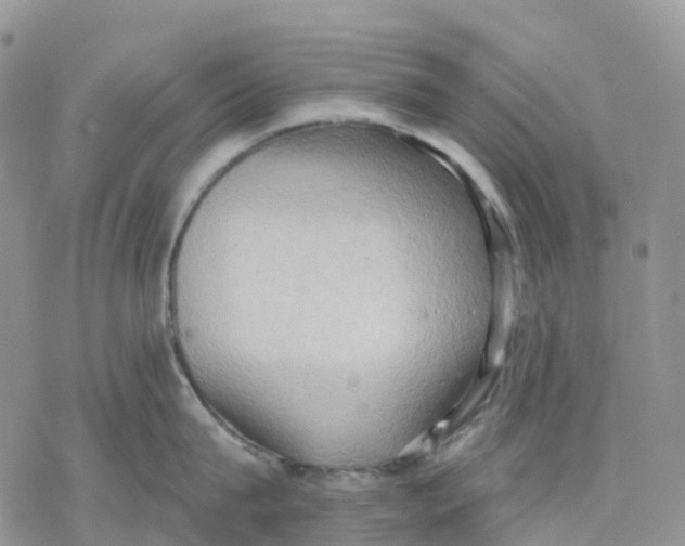 X0000078230815200611251212