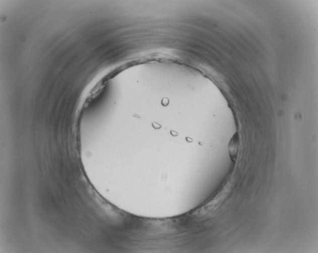 X0000078230816200611251212