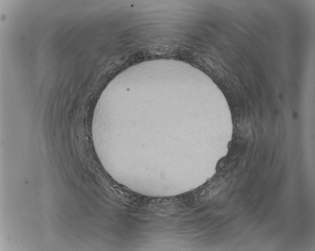 X0000078230817200611251212