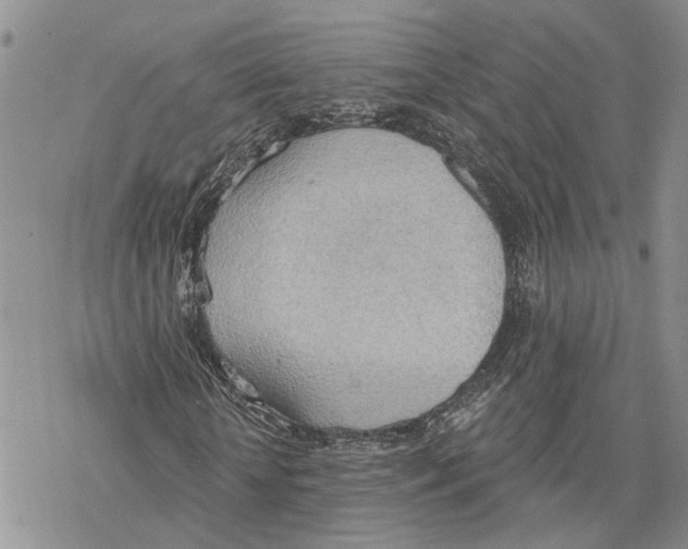 X0000078230818200611251212