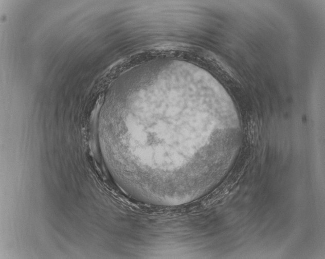 X0000078230821200611251212