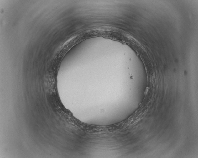 X0000078230822200611251212