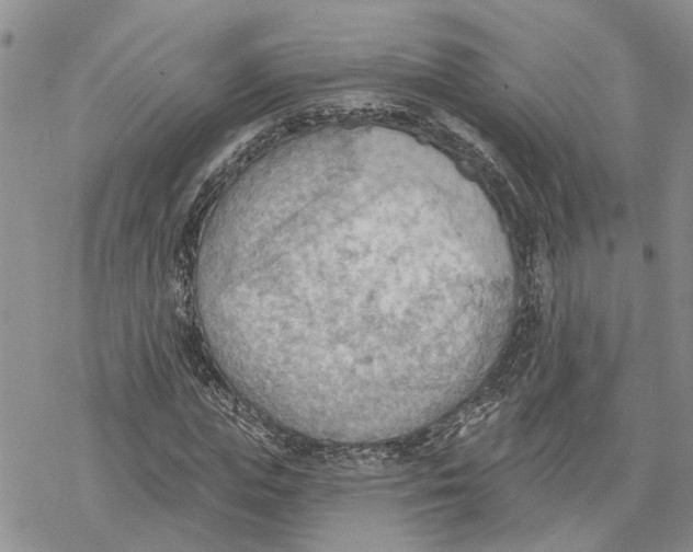 X0000078230823200611251212